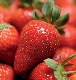 Fresh strawberries